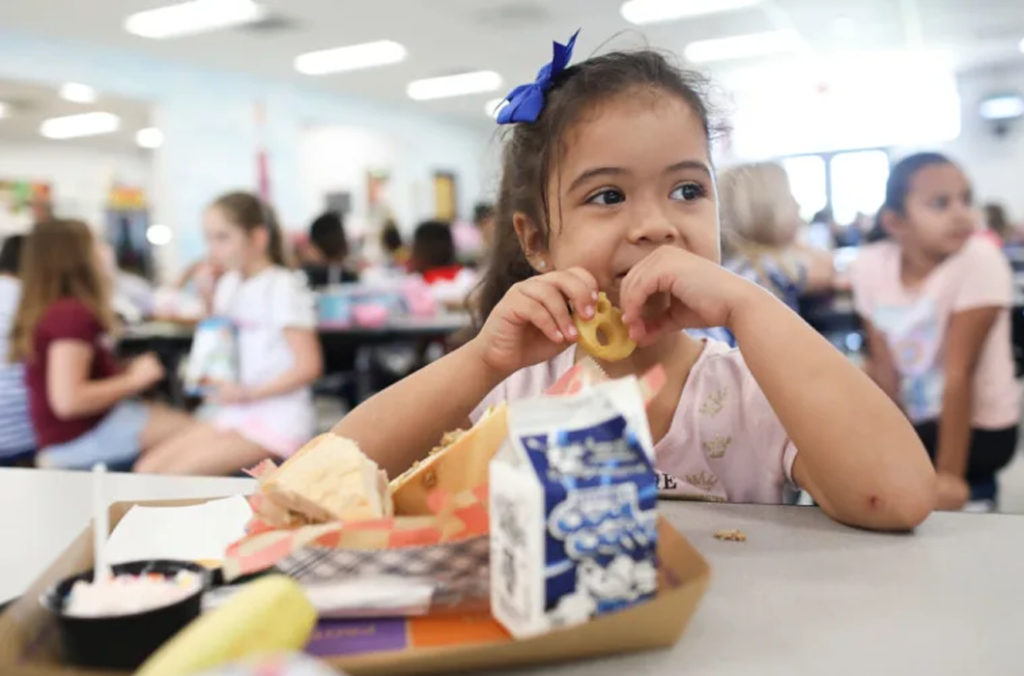 Nuevas Iniciativas Programas de Alimentación Escolar y Nutrición Infantil